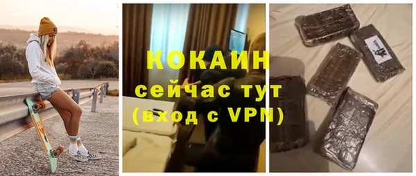 твердый Алексин