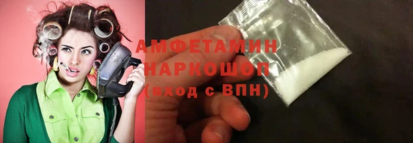 PSILOCYBIN Алзамай