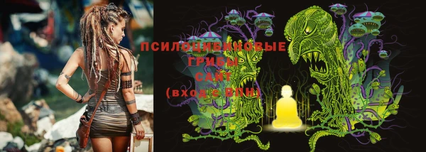 спиды Алексеевка