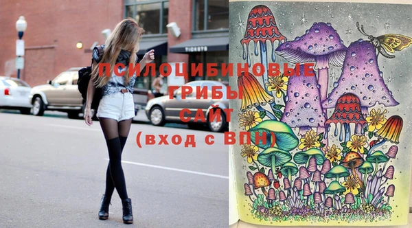 PSILOCYBIN Алзамай