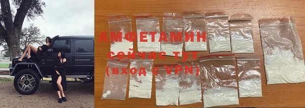 PSILOCYBIN Алзамай