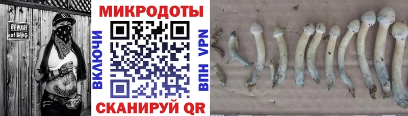 Псилоцибиновые грибы мухоморы Новая Ляля