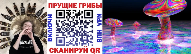 даркнет сайт  Новая Ляля  Псилоцибиновые грибы ЛСД 